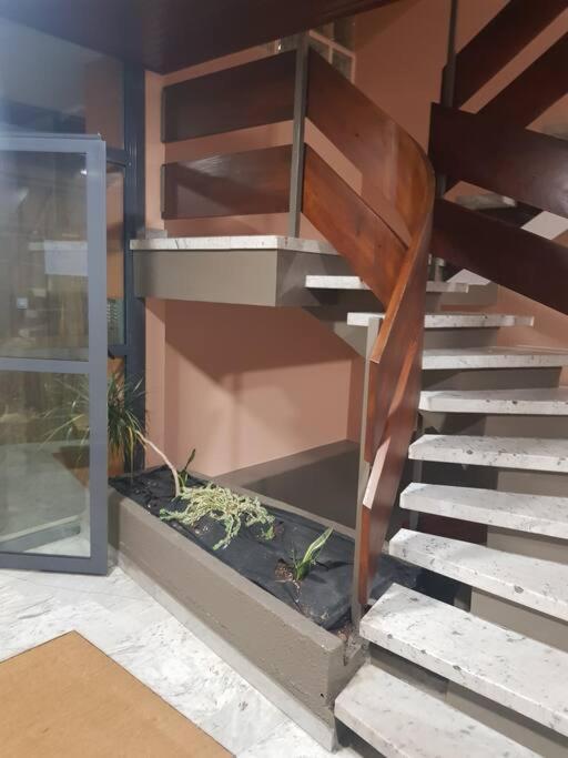 Magnifique T2 Au Centre Ville كلوز المظهر الخارجي الصورة